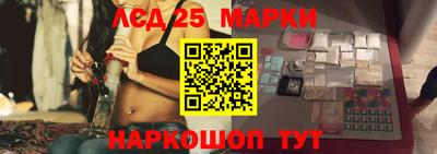 дмт Славгород